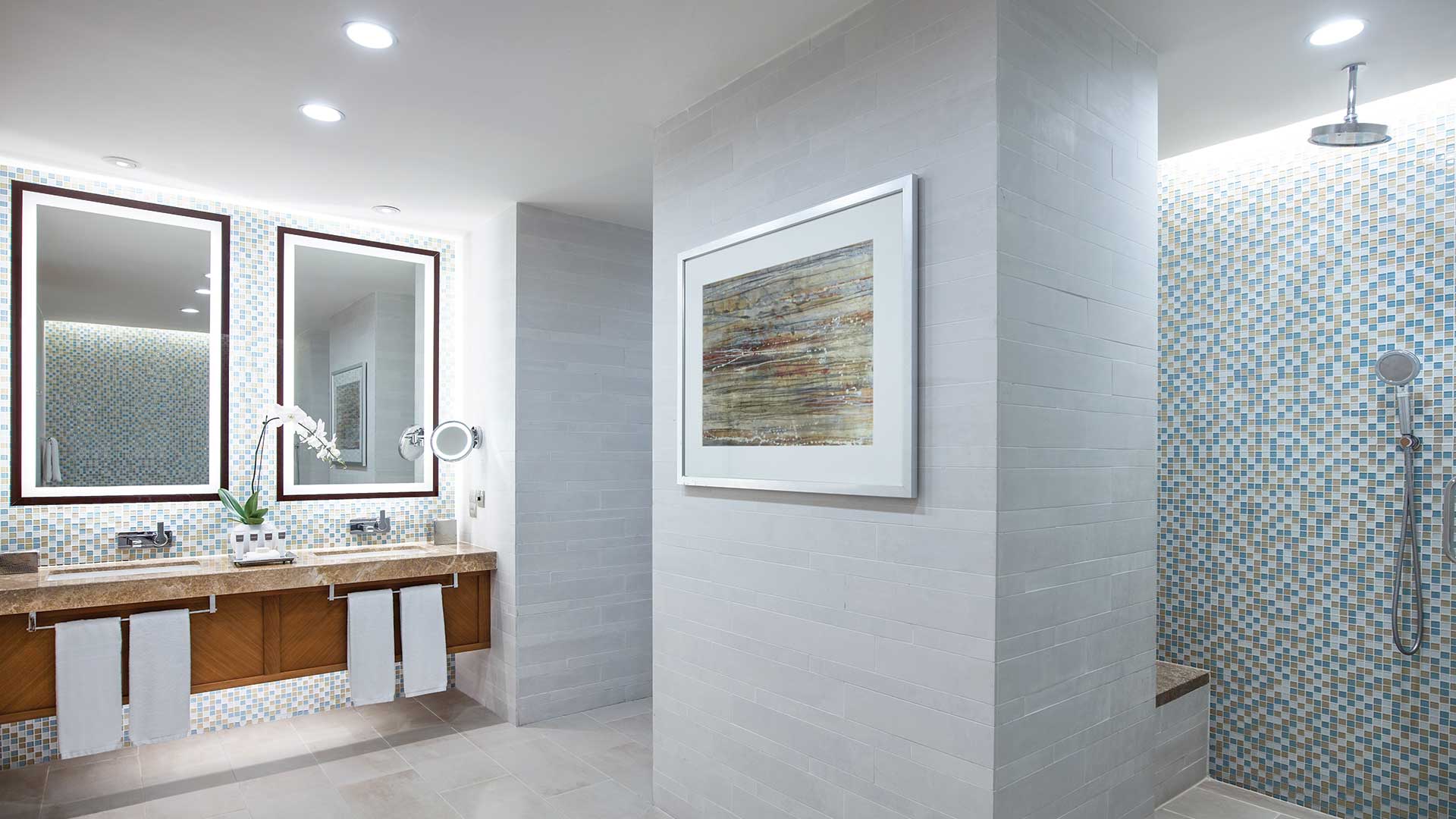 sag-classic-suite-bathroom-80342-2