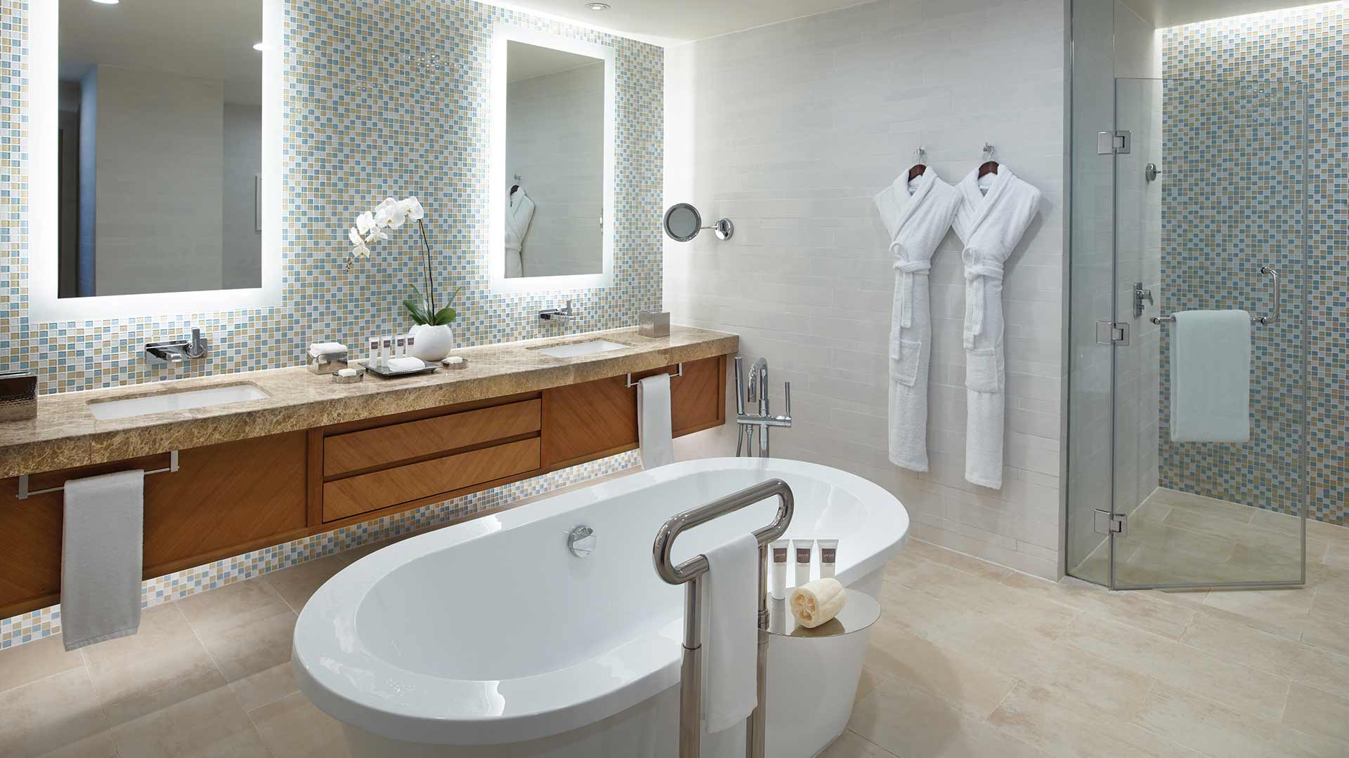 sag-deluxe-suite-bathroom-80891-2