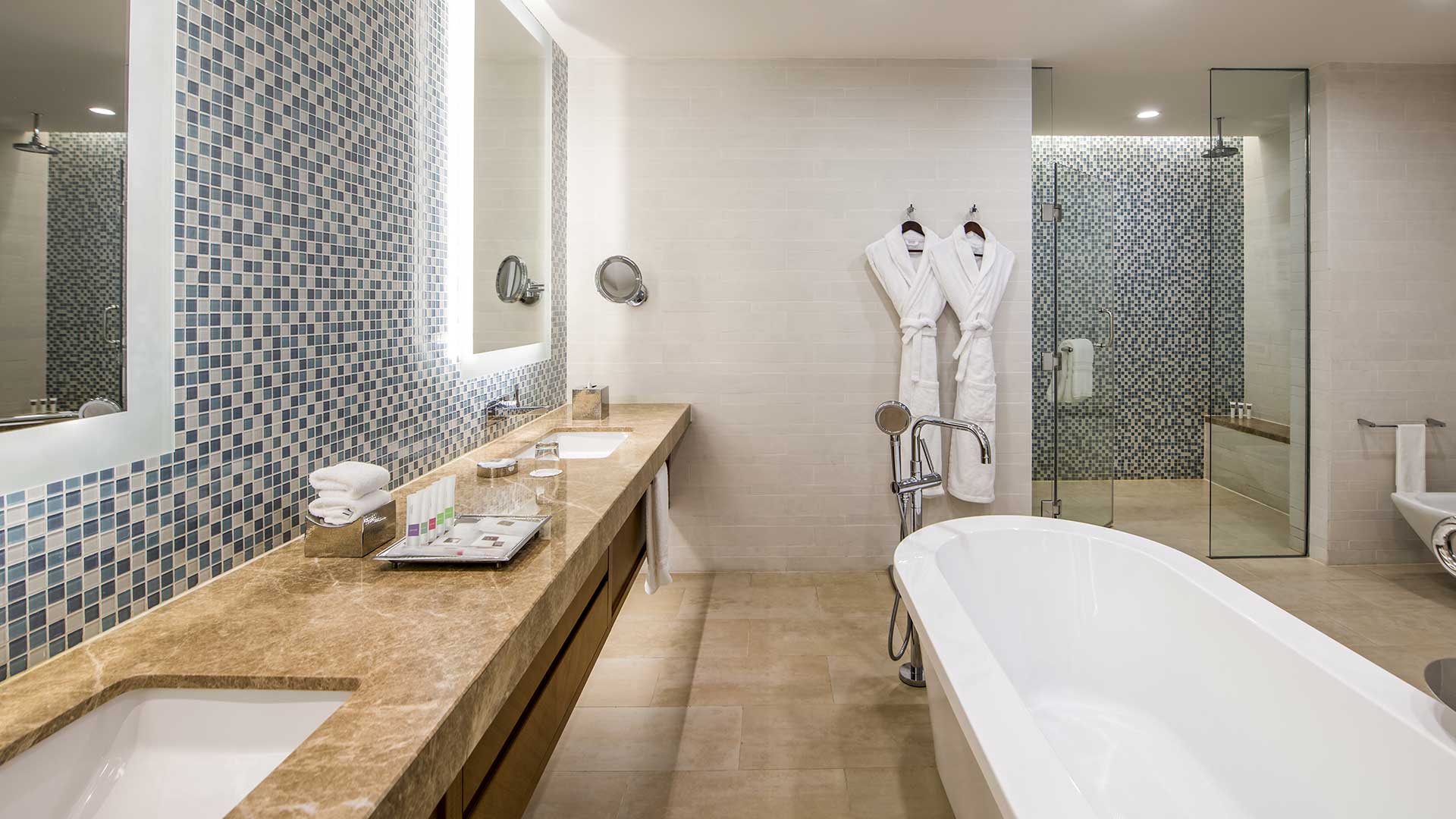 swissotel-al-ghurair-b1p8-deluxe-suite-bathroom-3171-2
