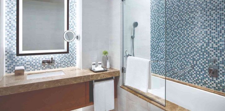 sag-classicpremiumswissexecutive-room-bathroom-79781-2