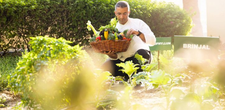 sustainability_chef-at-kitchen-garden