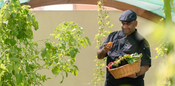 h1p8_chef_in_swiss_garden_1-2