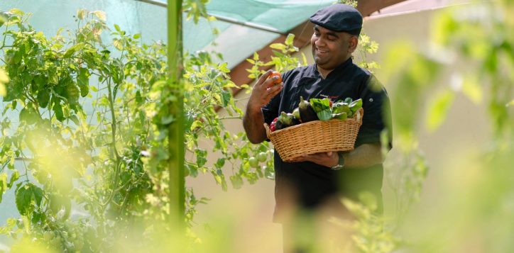 h1p8_chef_in_swiss_garden_2-2-2