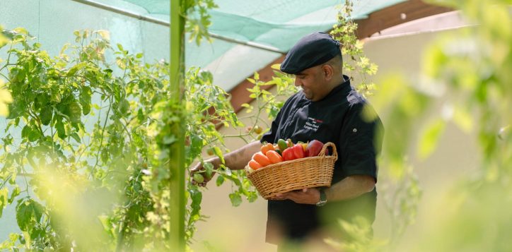 h1p8_chef_in_swiss_garden_3-2