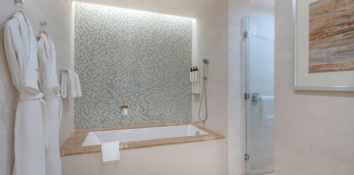 h1p8_classic_suite_bathroom_2-2