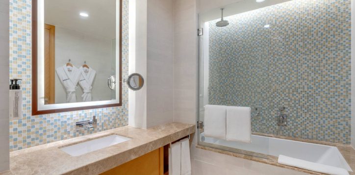 h1p8_deluxe_room_bathroom_2-2