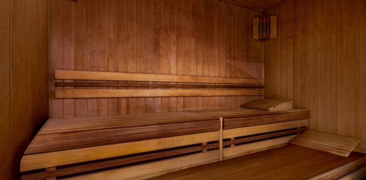 h1p8_spa_sauna-2